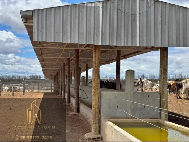 Imagem: Fazenda em Euclides da Cunha