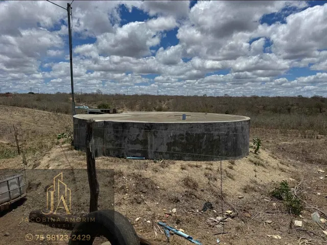 Imagem 2: Fazenda em Euclides da Cunha
