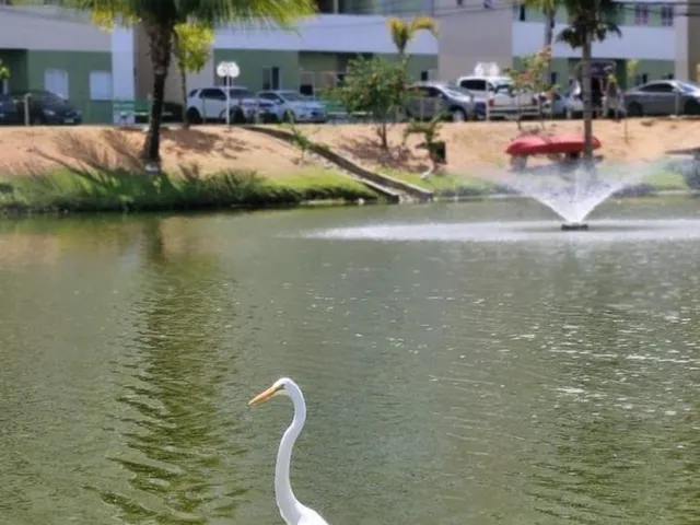 Imagem 2: Vendo apartamento em Lauro de Freitas, 2/4 sendo 1 suíte, R$ 340.000,00, aceita