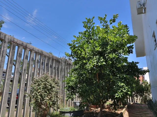 Imagem 13: Linda Casa em Condomínio