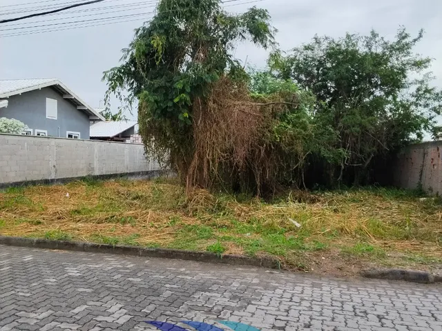 Imagem 3: COD 1952 Terreno Caravelas excelente valorização do seu imovels
