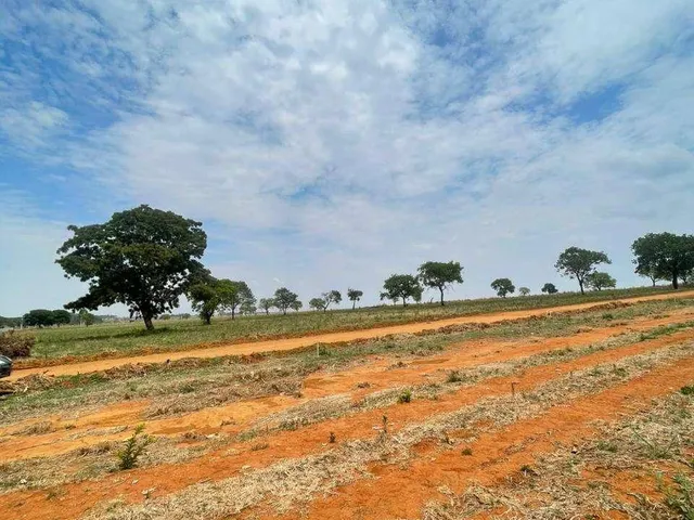 Imagem 2: Condomínio de Chácaras Ipê - Aragoiânia, Goiâs