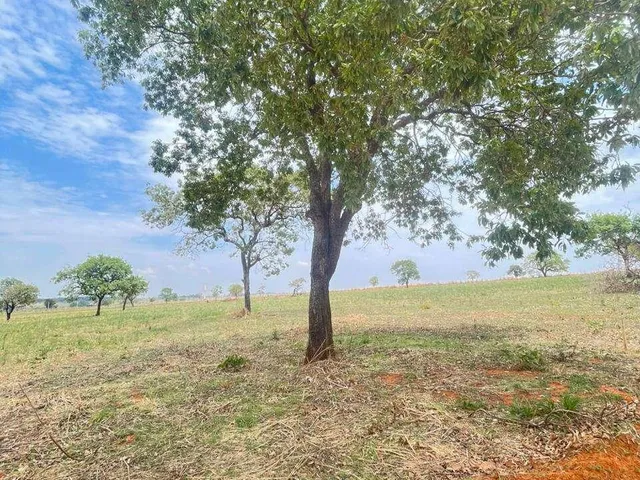 Imagem 3: Condomínio de Chácaras Ipê - Aragoiânia, Goiâs