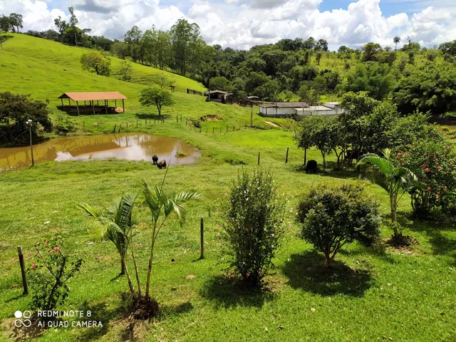 Imagem 9: FAZENDA RURAL em Pedro Leopoldo - MG, Pedro Leopoldo