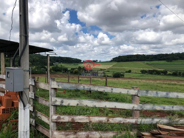 Imagem 8: Chácara à venda, LINHA GAUCHA, SANTA HELENA - PR