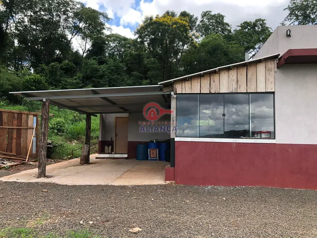 Imagem 6: Chácara à venda, LINHA GAUCHA, SANTA HELENA - PR