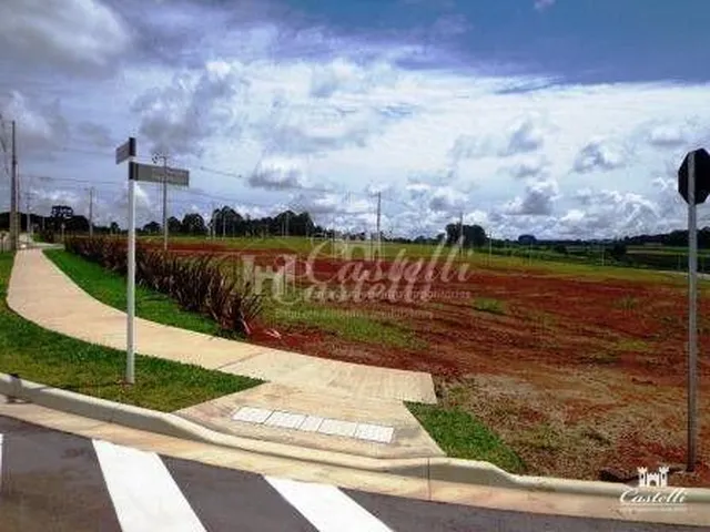 Imagem 8: Terreno à venda, Jardim Carvalho, PONTA GROSSA - PR