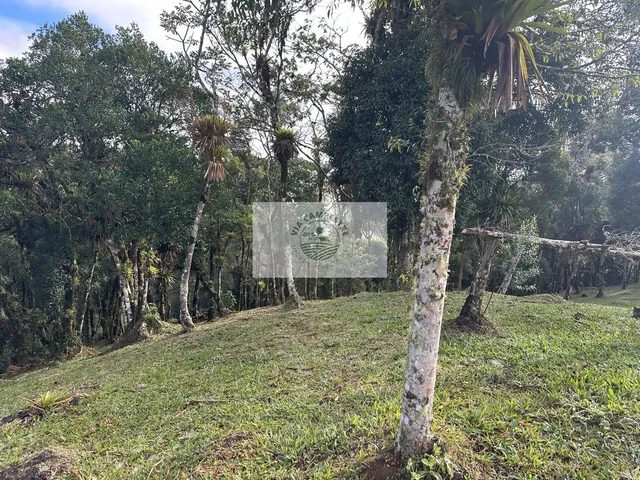 Imagem 4: Terreno para sitio na subida da serra, condominio fechado, pagamento parcelado facilitado