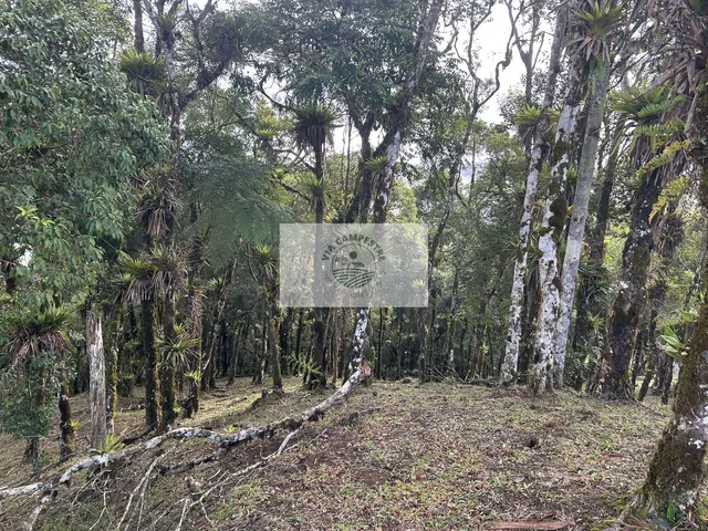 Imagem 12: Terreno para sitio na subida da serra, condominio fechado, pagamento parcelado facilitado