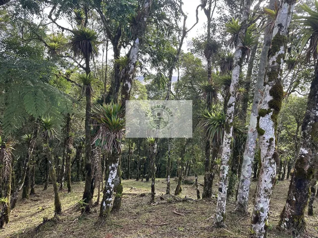 Imagem 11: Terreno para sitio na subida da serra, condominio fechado, pagamento parcelado facilitado