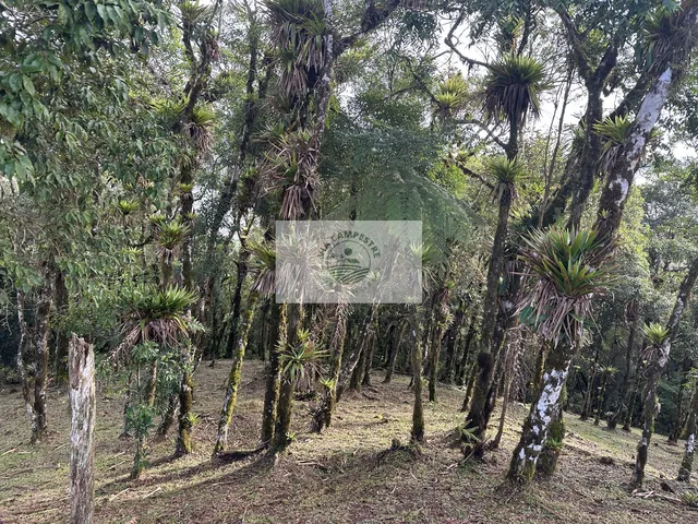 Imagem 6: Terreno para sitio na subida da serra, condominio fechado, pagamento parcelado facilitado