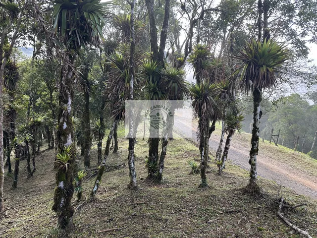 Imagem 15: Terreno para sitio na subida da serra, condominio fechado, pagamento parcelado facilitado