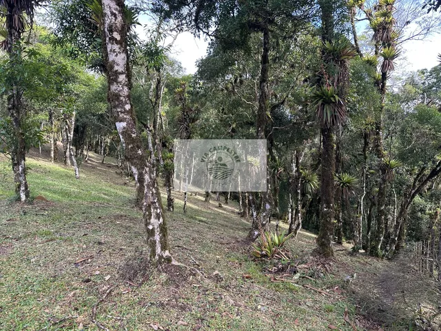 Imagem 8: Terreno para sitio na subida da serra, condominio fechado, pagamento parcelado facilitado