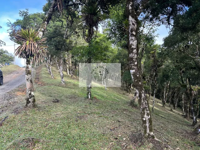Imagem 9: Terreno para sitio na subida da serra, condominio fechado, pagamento parcelado facilitado