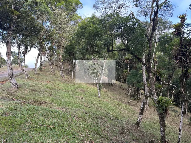 Imagem 13: Terreno para sitio na subida da serra, condominio fechado, pagamento parcelado facilitado