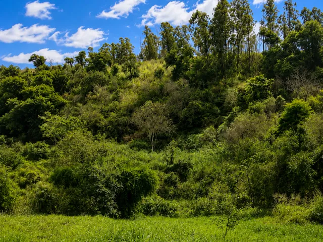 Imagem 10: Sítio para Venda em Tanguá, Posse dos Coutinho, 3 dormitórios, 1 suíte, 2 banheiros