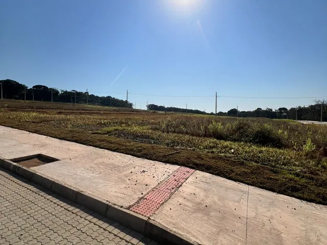 Imagem 5: Ótimo lote no Loteamento Piçarras Park!