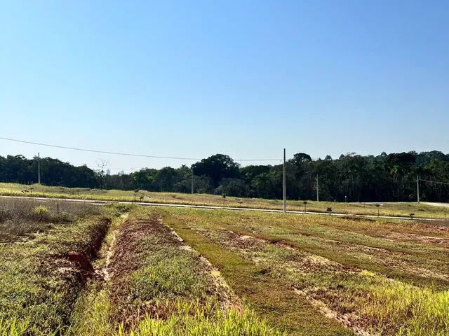 Imagem 8: Ótimo terreno no Loteamento Piçarras Park!