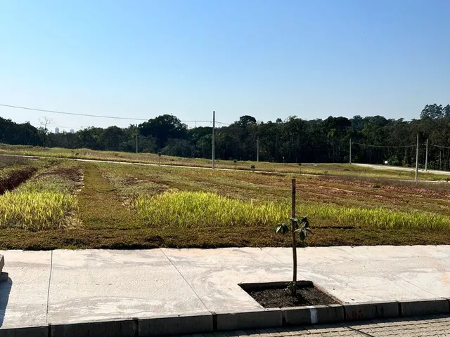 Imagem 4: Ótimo terreno no Loteamento Piçarras Park!