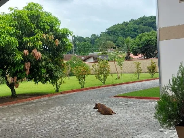 Imagem 4: Ótima Casa na Itoupava Central em Blumenau-Sc