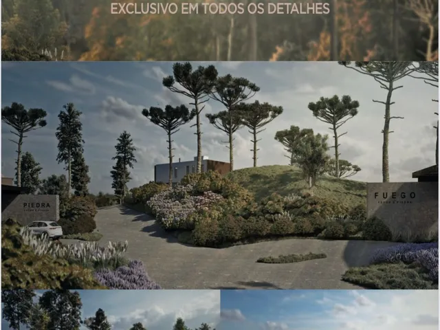 Imagem: Oportunidade na Serra de Campo Alegre