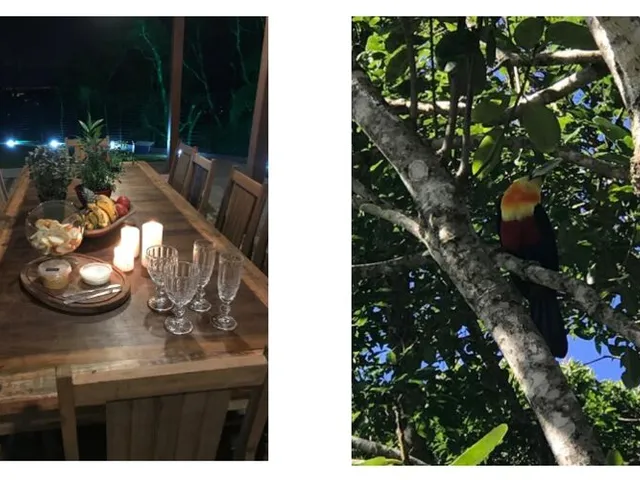 Imagem 11: Linda Casa de Campo em Santo Amaro da Imperatriz/SC