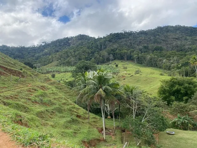 Imagem 16: Sítio com 12 Alqueires em Iguape, Guarapari/ES - Lagoa, Curral, Casa Sede, Caseiro e