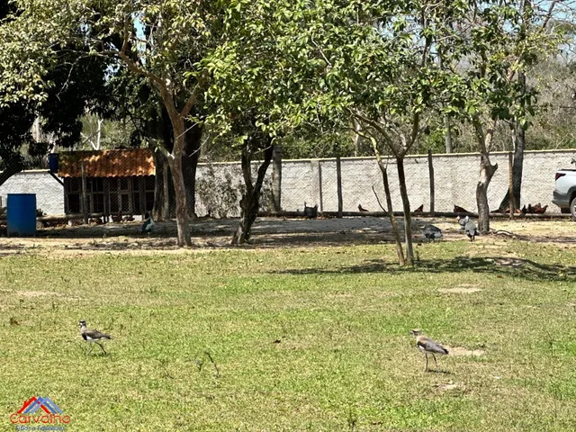 Imagem 7: SITIO RURAL em ITABORAÍ - RJ, VILA RICA