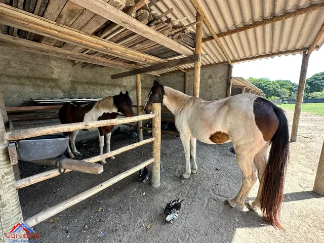 Imagem 12: SITIO RURAL em ITABORAÍ - RJ, VILA RICA