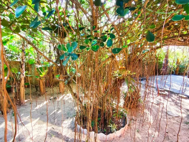 Imagem 10: Imóvel à venda em Imbituba-SC, bairro Ribanceira: Com vista para o mar!