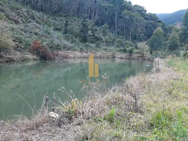 Imagem: Linda Fazenda em Nova Trento/SC
