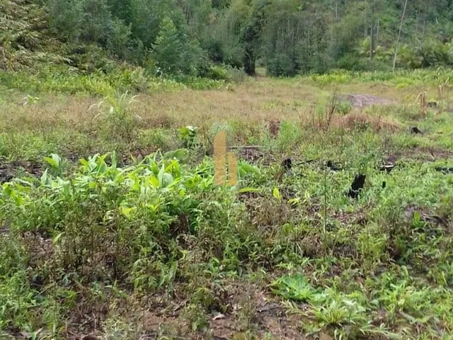 Imagem 2: Linda Fazenda em Nova Trento/SC