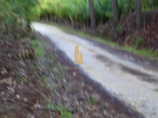 Imagem 8: Linda Fazenda em Nova Trento/SC