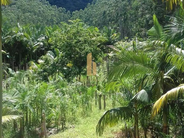 Imagem 12: Linda Fazenda em Nova Trento/SC