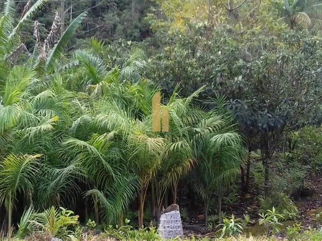 Imagem 10: Linda Fazenda em Nova Trento/SC