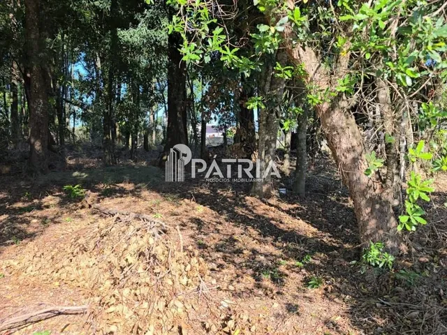 Imagem 2: TERRENO NO RESIDENCIAL DAS FIGUEIRAS-COUNTRY