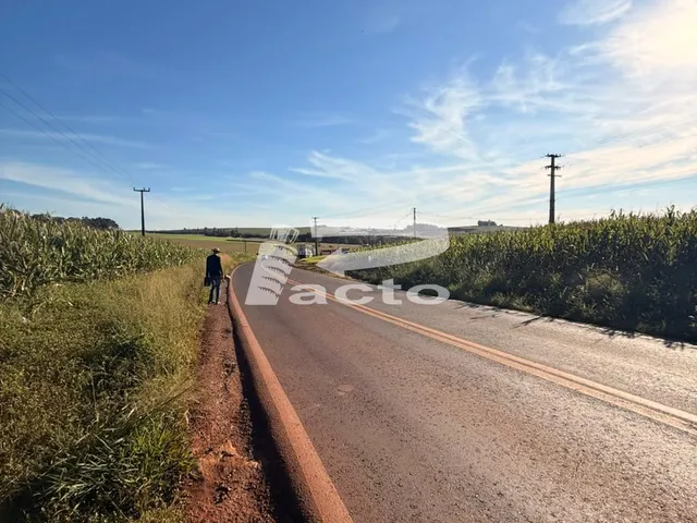 Imagem 3: TERRENO COM AREA DE 35.000 M²