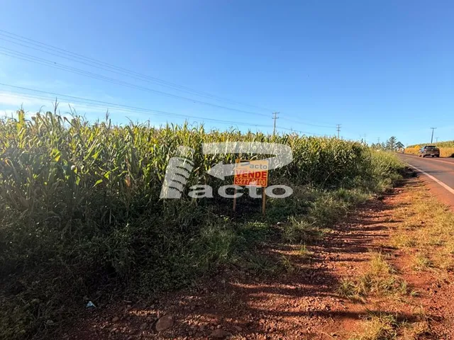Imagem 10: TERRENO COM AREA DE 48.000 M²