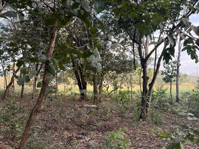 Imagem 7: Lote de Oportunidade em Pirenópolis
