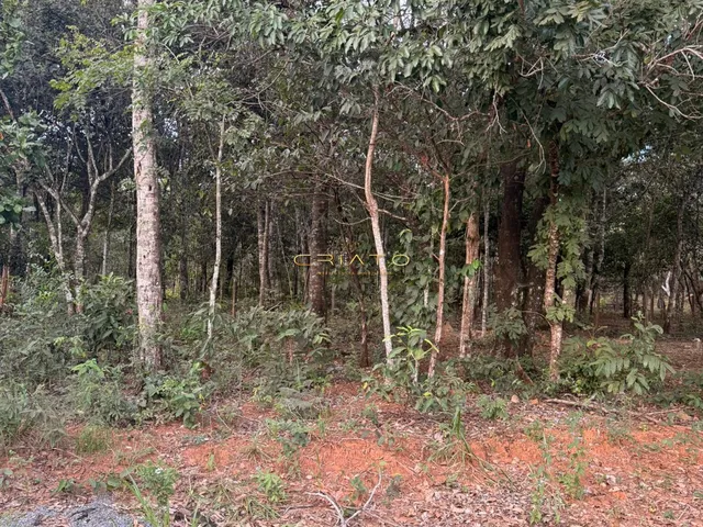 Imagem 13: Lote de Oportunidade em Pirenópolis