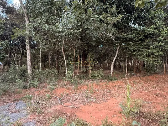 Imagem 11: Lote de Oportunidade em Pirenópolis