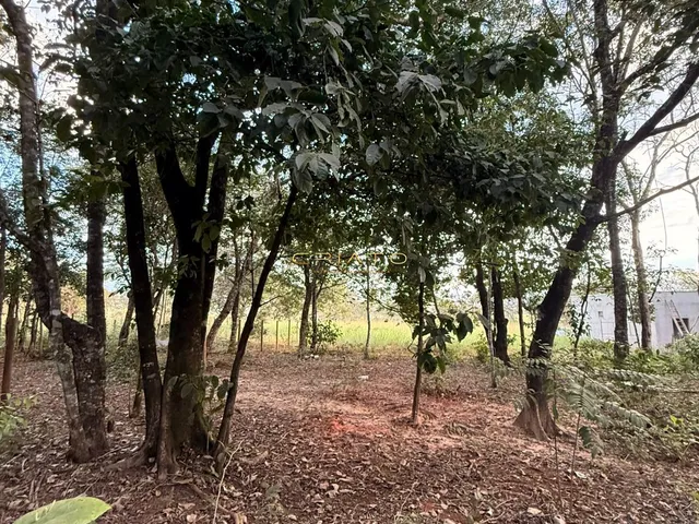 Imagem 5: Lote de Oportunidade em Pirenópolis