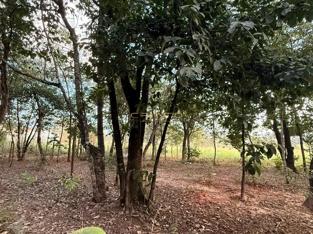Imagem 10: Lote de Oportunidade em Pirenópolis