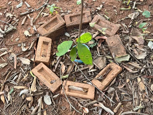 Imagem 9: Lote de Oportunidade em Pirenópolis