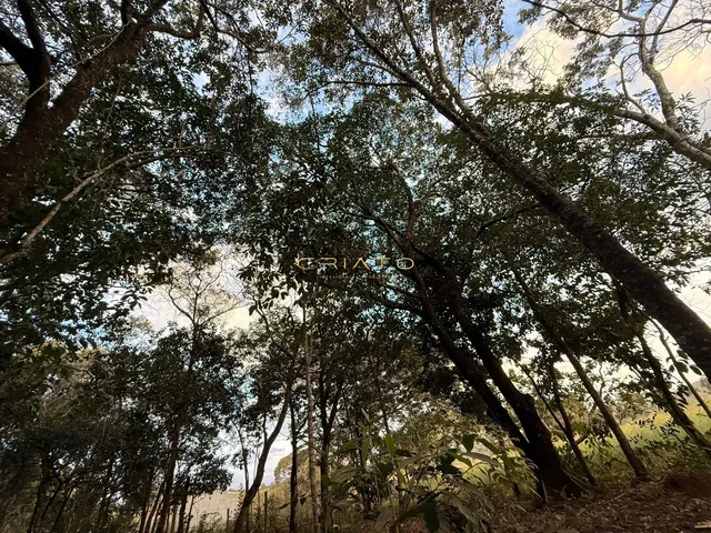 Imagem 3: Lote de Oportunidade em Pirenópolis
