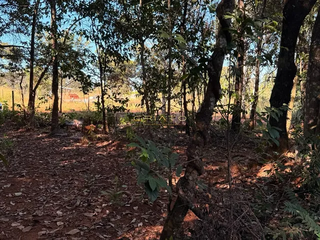 Imagem: LOTE DE 1200m2 COM MATA NATIVA EM PIRENOPOLIS