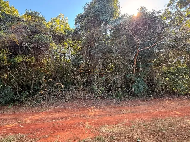 Imagem 8: LOTE DE 1200m2 COM MATA NATIVA EM PIRENOPOLIS