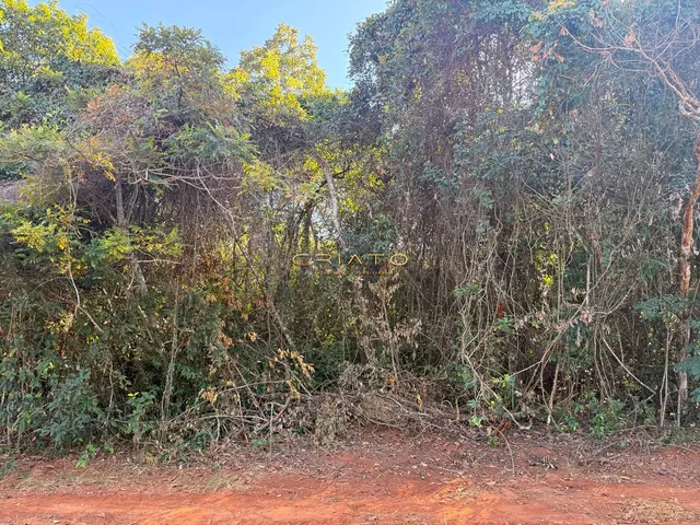 Imagem 7: LOTE DE 1200m2 COM MATA NATIVA EM PIRENOPOLIS