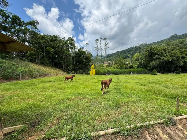 Imagem 5: Sítio à venda no bairro Baixo Santa Maria - Benedito Novo/SC