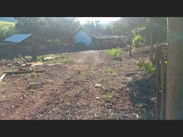 Imagem 10: Chácara a venda 1 alqueires Jardim alegre PR a 5 km da cidade e a 2 km asfalto